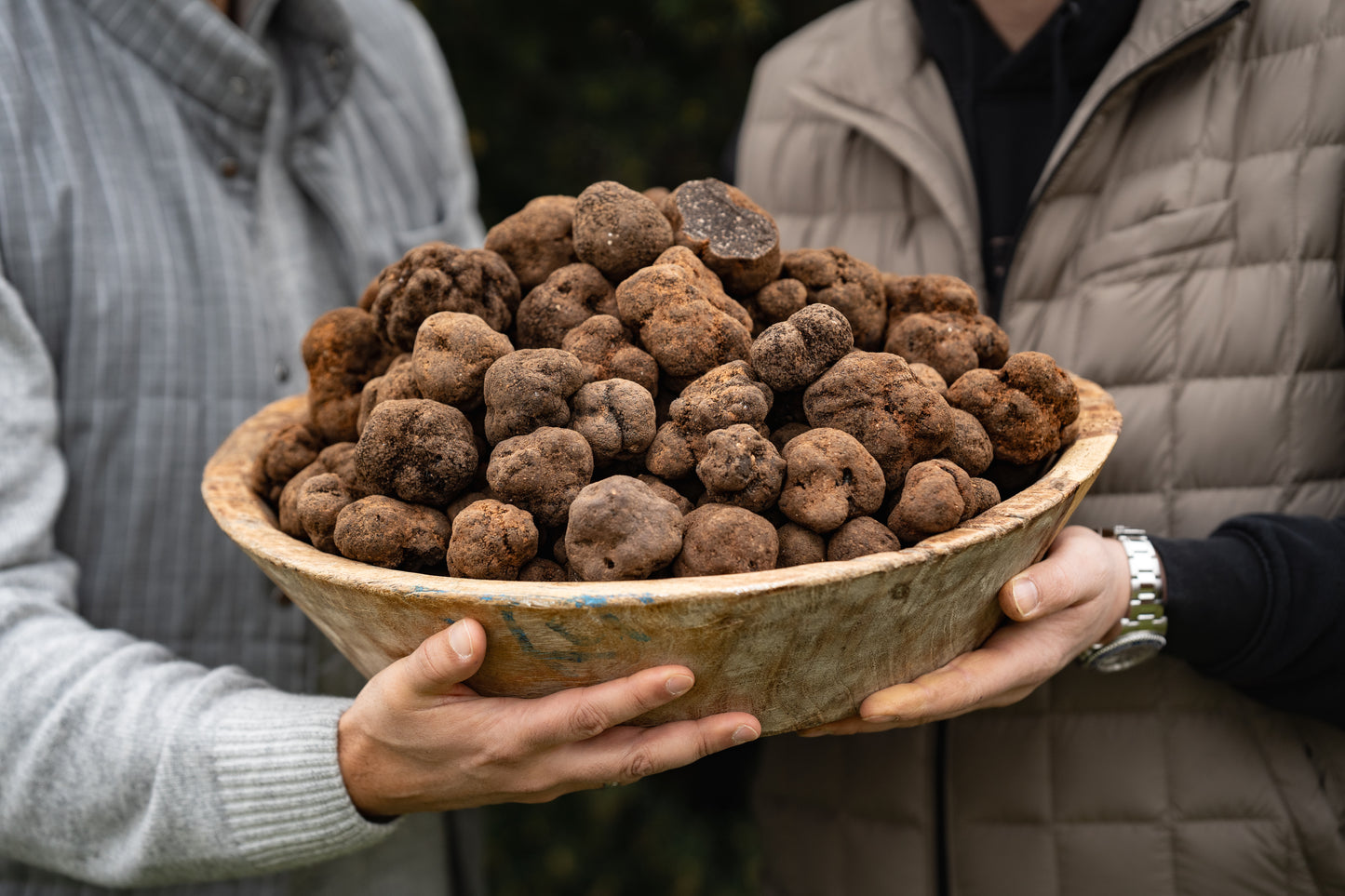Schwarzer Trüffel aus Australien (Tuber Melanosporum) - 1,20€/g
