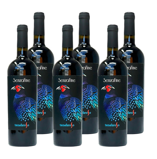 SenzaFine – Tenebroso Rosso Governo all’uso Toscana IGT - Rotwein - 0,75 l