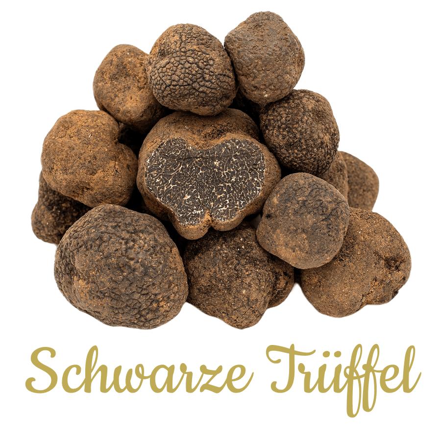 Schwarzer Trüffel - Trueffelfreunde