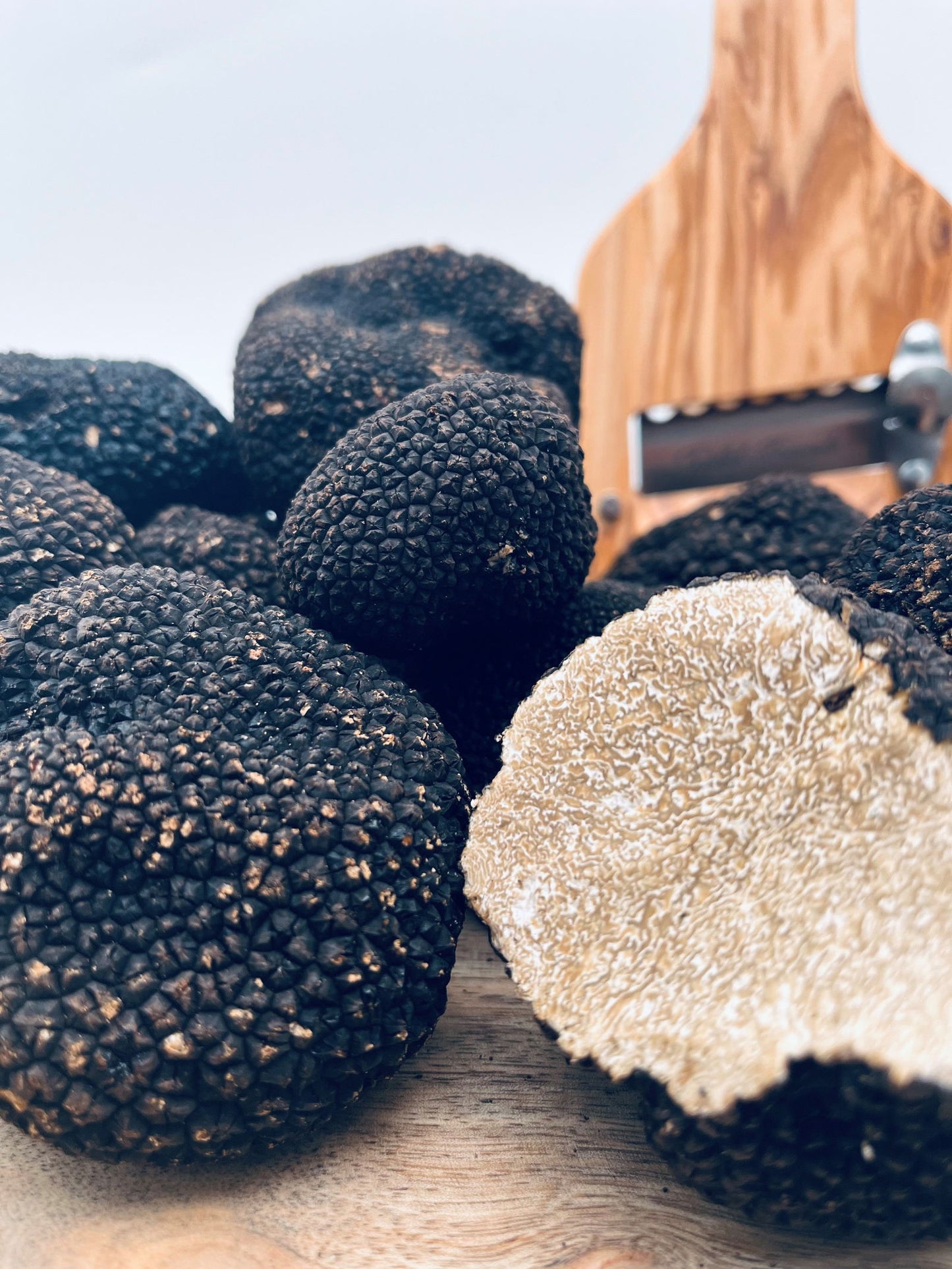 GASTRO ANGEBOT Sommer Trüffel // Aestivum "Scorzone" - 500g - 150€ - Trueffelfreunde