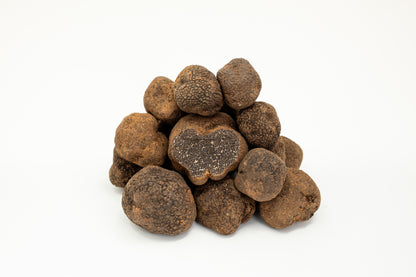 Schwarzer Trüffel aus Australien (Tuber Melanosporum) - 1,20€/g