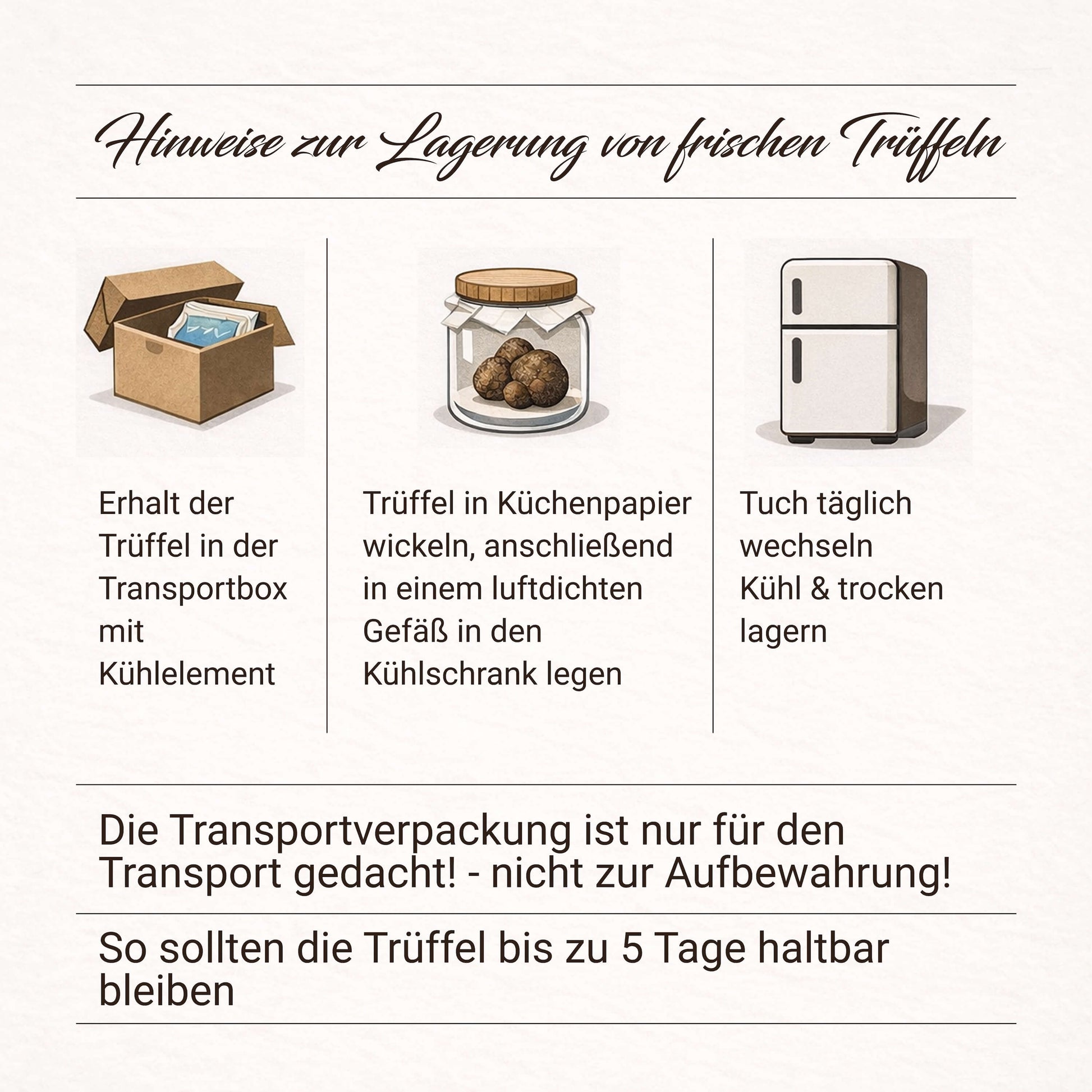Frischer Herbsttrüffel (Tuber Uncinatum) – Trueffelfreunde